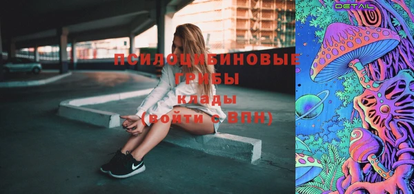 крисы Медногорск