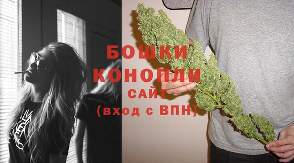 крисы Медногорск