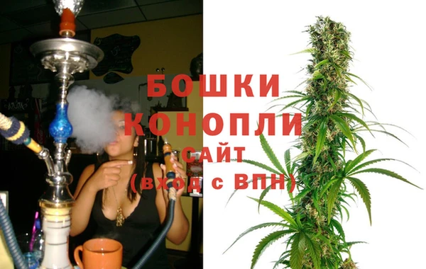крисы Медногорск