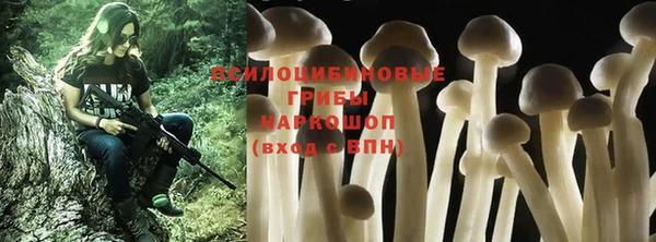 mdpv Медвежьегорск